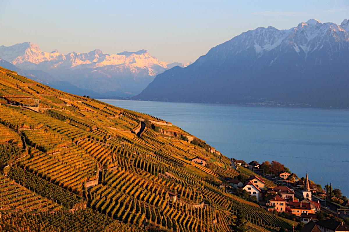 Lavaux